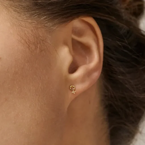 Enamel Feminine Power Øreringe