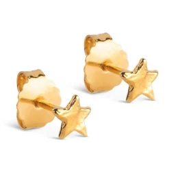 Enamel Star Energy Øreringe