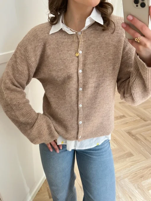 Neo Noir Vilja Strikcardigan Sand Melange